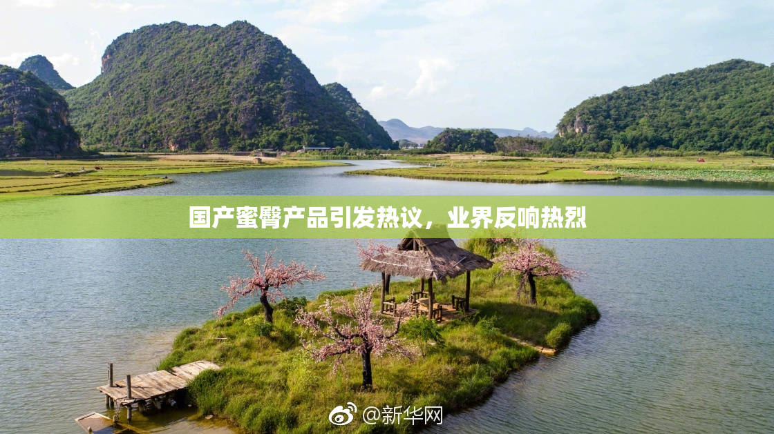 国产蜜臀产品引发热议，业界反响热烈