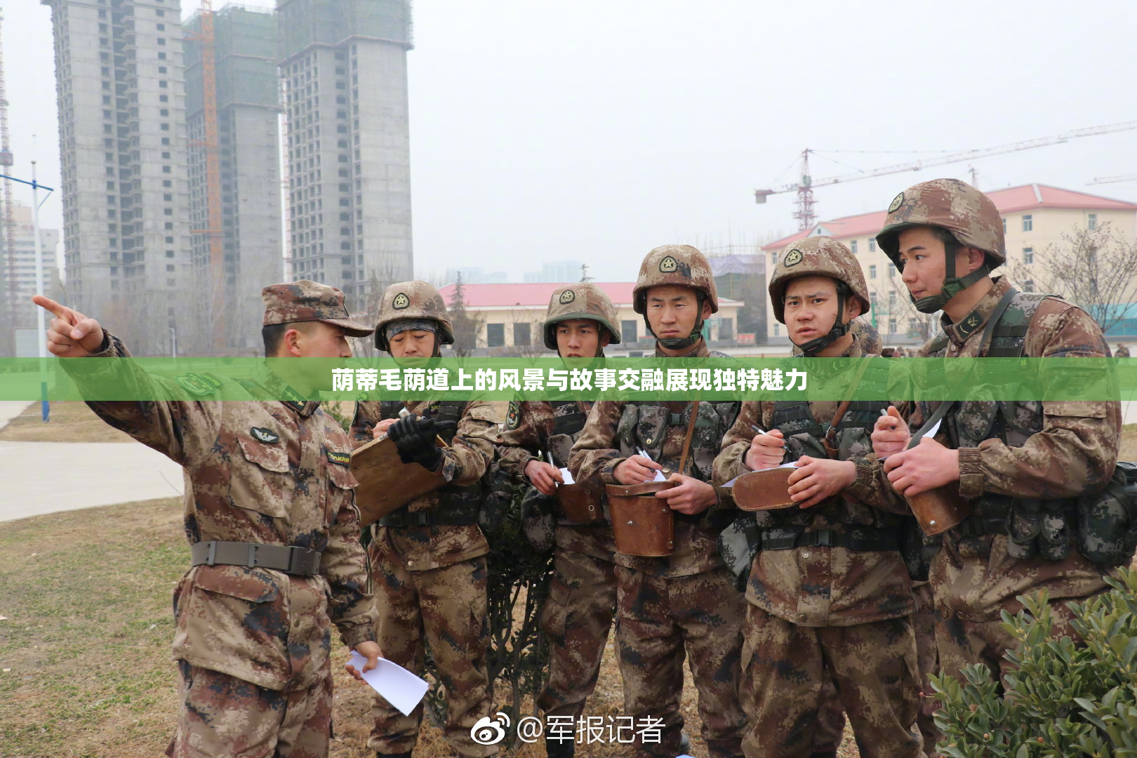荫蒂毛荫道上的风景与故事交融展现独特魅力