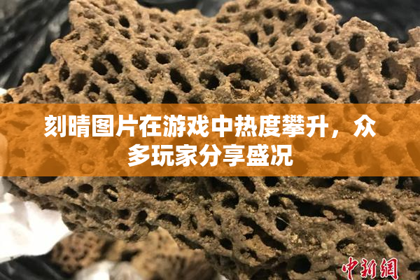 刻晴图片在游戏中热度攀升，众多玩家分享盛况