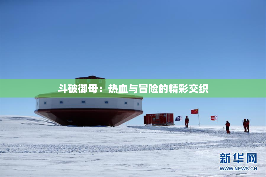 斗破御母：热血与冒险的精彩交织