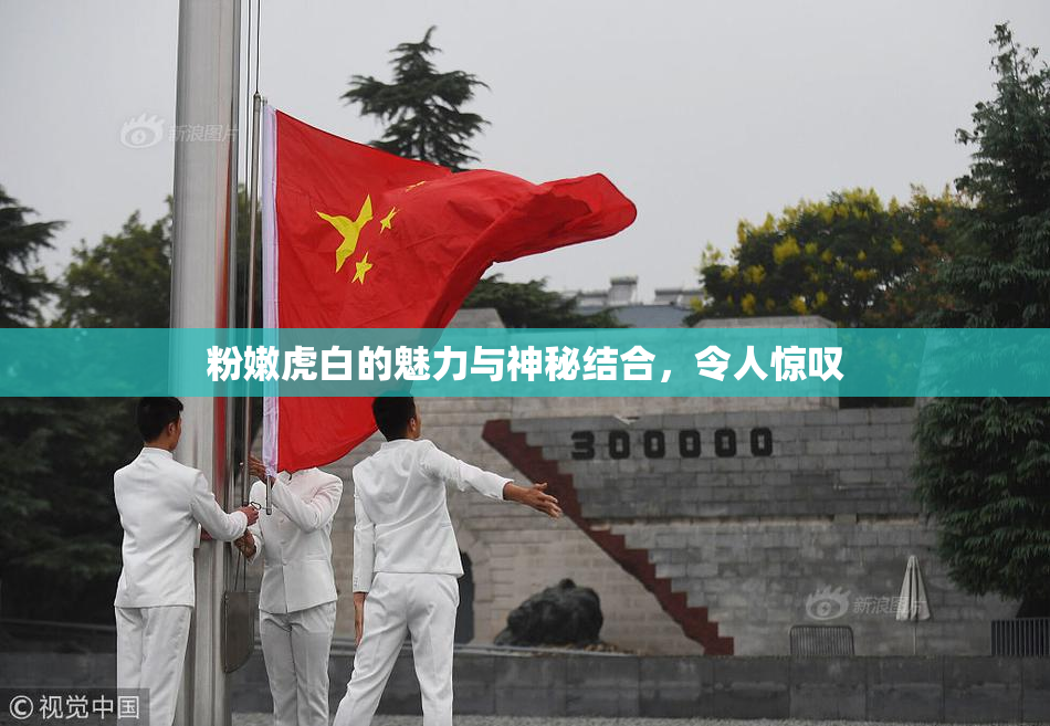 粉嫩虎白的魅力与神秘结合，令人惊叹