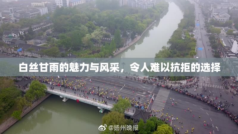 白丝甘雨的魅力与风采，令人难以抗拒的选择