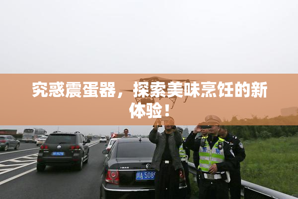 究惑震蛋器，探索美味烹饪的新体验！