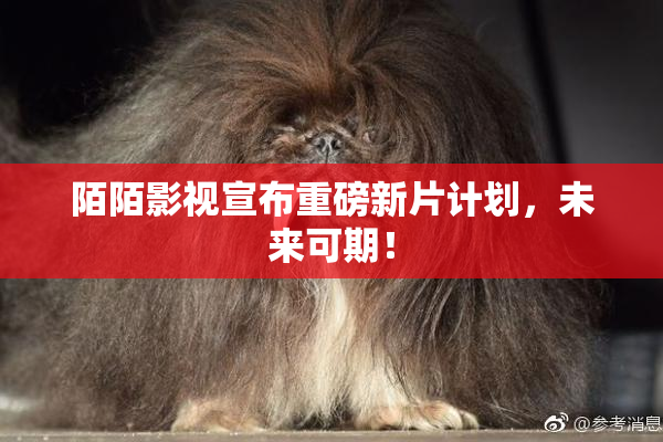 陌陌影视宣布重磅新片计划，未来可期！