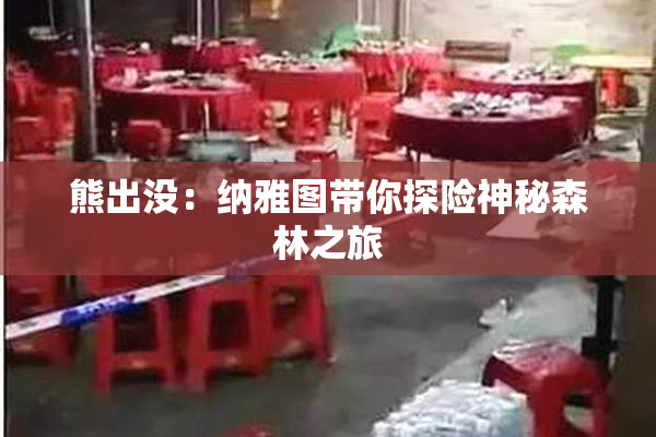 熊出没：纳雅图带你探险神秘森林之旅