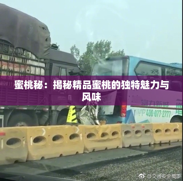 蜜桃秘：揭秘精品蜜桃的独特魅力与风味
