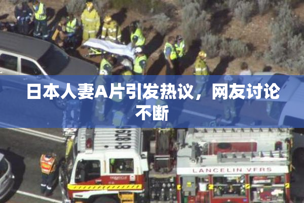 日本人妻A片引发热议，网友讨论不断