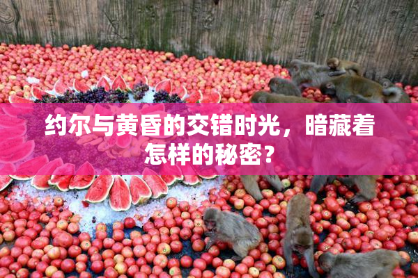 约尔与黄昏的交错时光，暗藏着怎样的秘密？