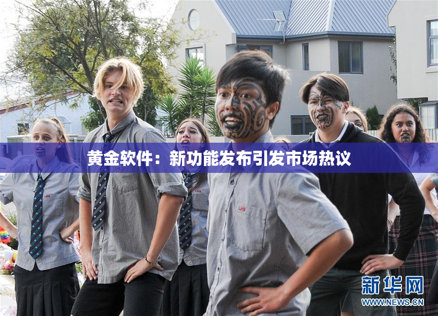 黄金软件：新功能发布引发市场热议