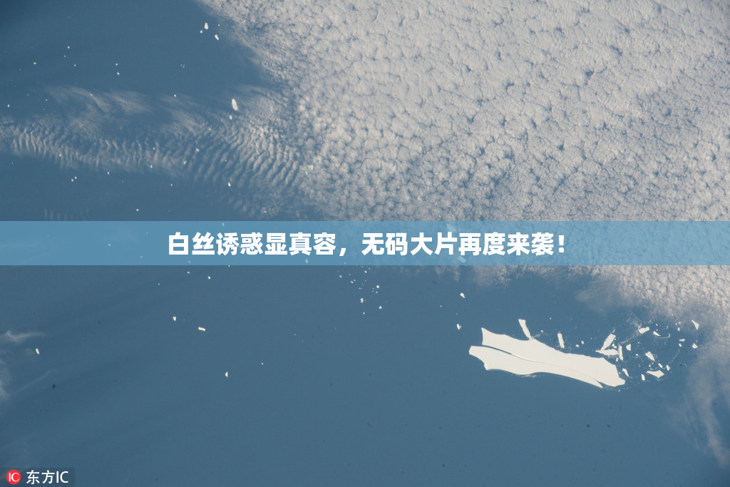 白丝诱惑显真容，无码大片再度来袭！