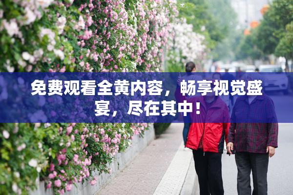 免费观看全黄内容，畅享视觉盛宴，尽在其中！