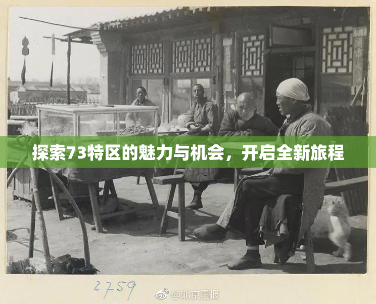 探索73特区的魅力与机会，开启全新旅程
