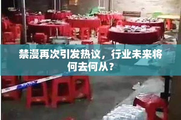 禁漫再次引发热议，行业未来将何去何从？