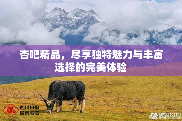 杏吧精品，尽享独特魅力与丰富选择的完美体验