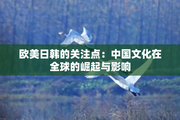 欧美日韩的关注点：中国文化在全球的崛起与影响