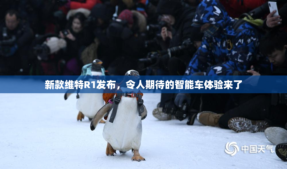 新款维特R1发布，令人期待的智能车体验来了