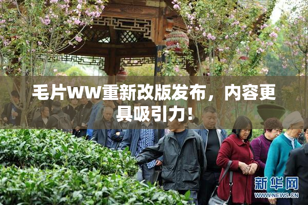 毛片WW重新改版发布，内容更具吸引力！