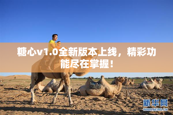 糖心v1.0全新版本上线，精彩功能尽在掌握！