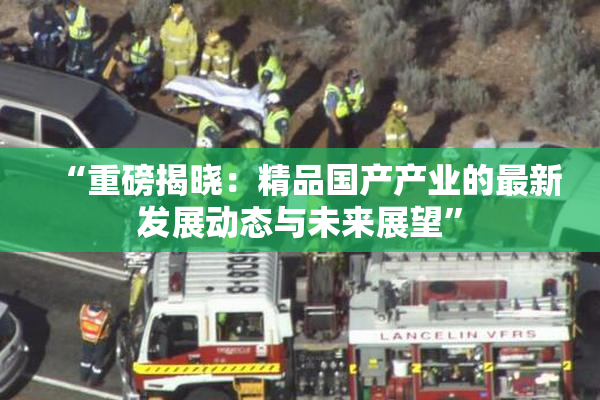 “重磅揭晓：精品国产产业的最新发展动态与未来展望”