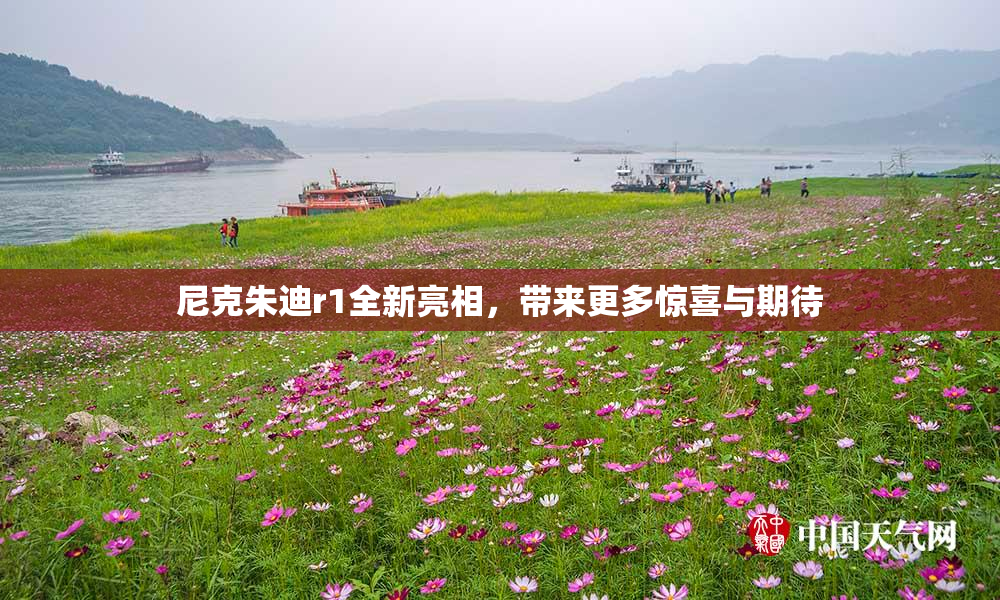 尼克朱迪r1全新亮相，带来更多惊喜与期待