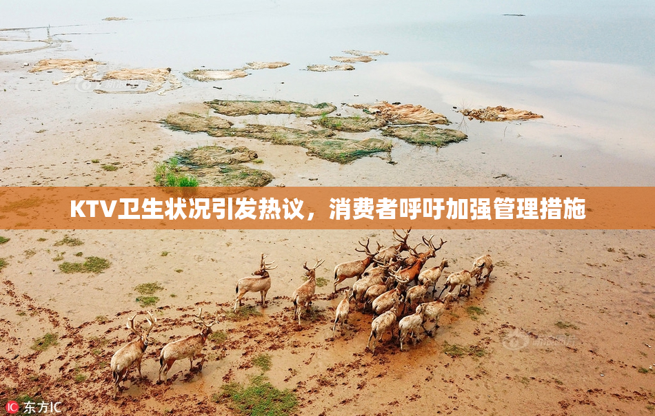 KTV卫生状况引发热议，消费者呼吁加强管理措施