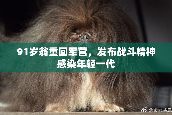 91岁翁重回军营，发布战斗精神感染年轻一代