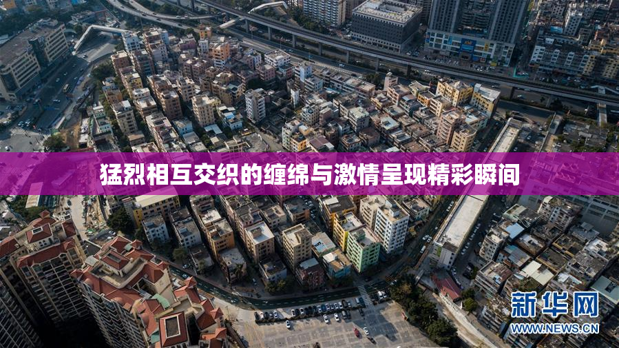 猛烈相互交织的缠绵与激情呈现精彩瞬间