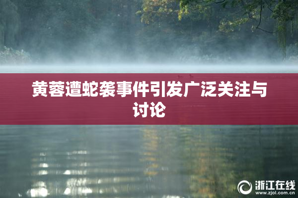 黄蓉遭蛇袭事件引发广泛关注与讨论