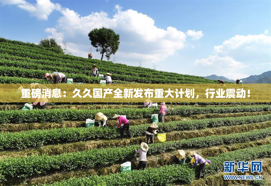 重磅消息：久久国产全新发布重大计划，行业震动！