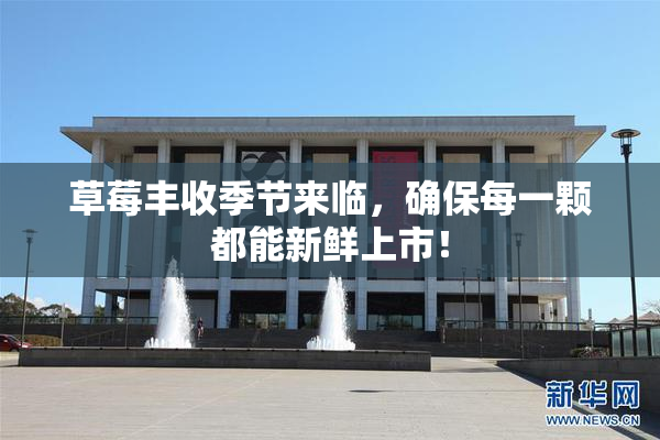 草莓丰收季节来临，确保每一颗都能新鲜上市！