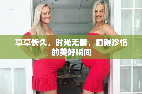 草草长久，时光无情，值得珍惜的美好瞬间