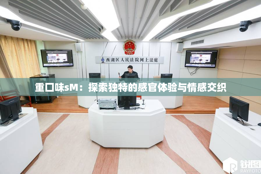 重囗味sM：探索独特的感官体验与情感交织
