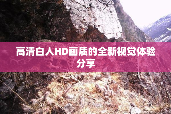 高清白人HD画质的全新视觉体验分享