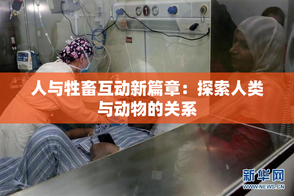 人与牲畜互动新篇章：探索人类与动物的关系