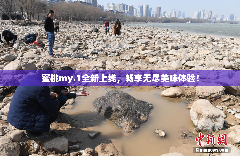 蜜桃my.1全新上线，畅享无尽美味体验！