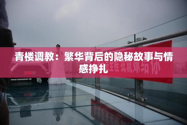 青楼调教：繁华背后的隐秘故事与情感挣扎