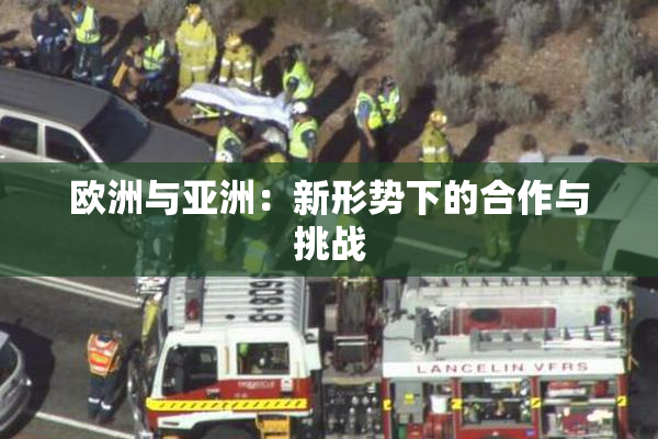 欧洲与亚洲：新形势下的合作与挑战