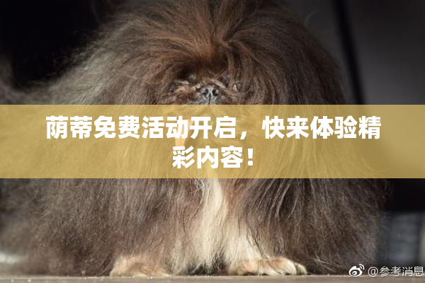 荫蒂免费活动开启，快来体验精彩内容！