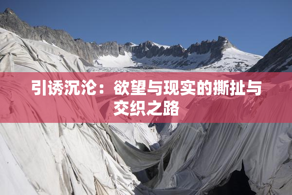 引诱沉沦：欲望与现实的撕扯与交织之路