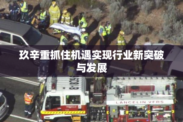玖辛重抓住机遇实现行业新突破与发展