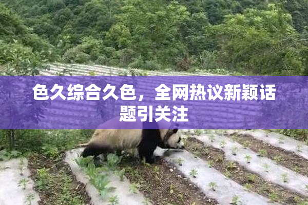 色久综合久色，全网热议新颖话题引关注