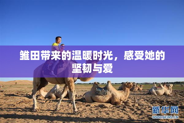 雏田带来的温暖时光，感受她的坚韧与爱