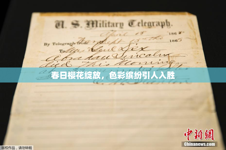 春日樱花绽放，色彩缤纷引人入胜