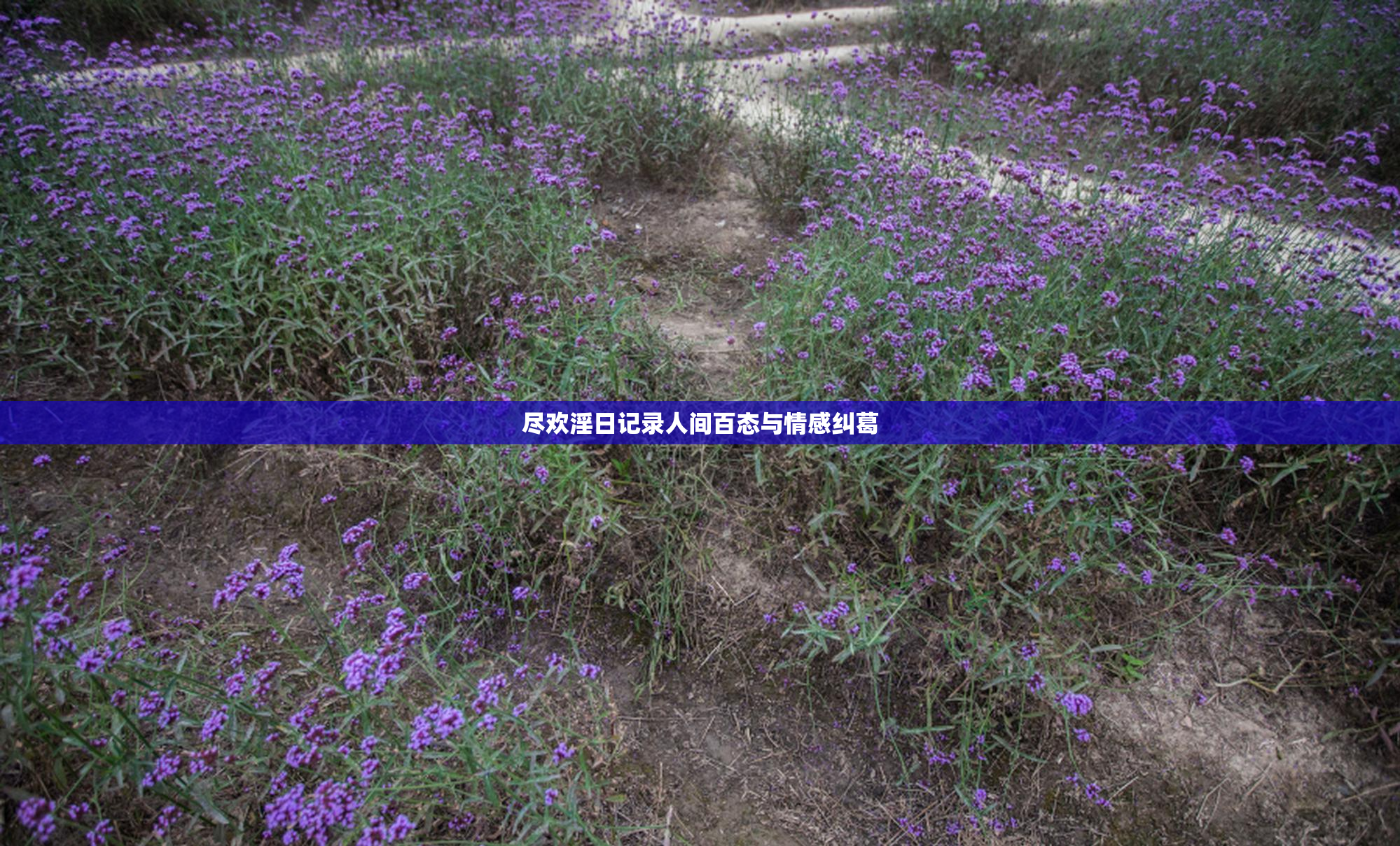 尽欢淫日记录人间百态与情感纠葛