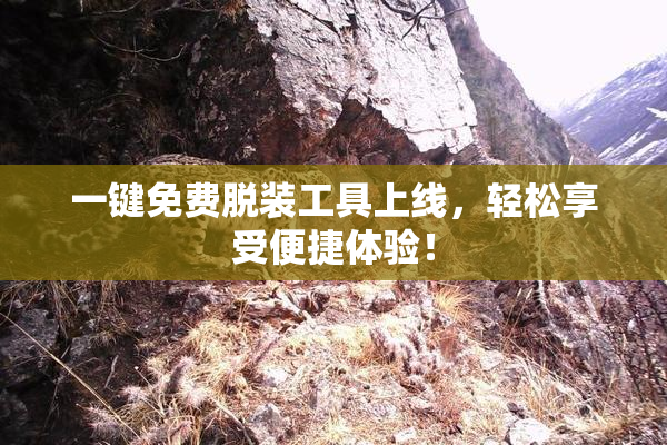 一键免费脱装工具上线，轻松享受便捷体验！
