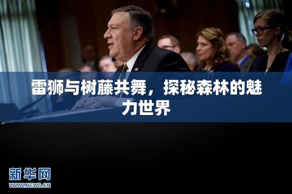雷狮与树藤共舞，探秘森林的魅力世界