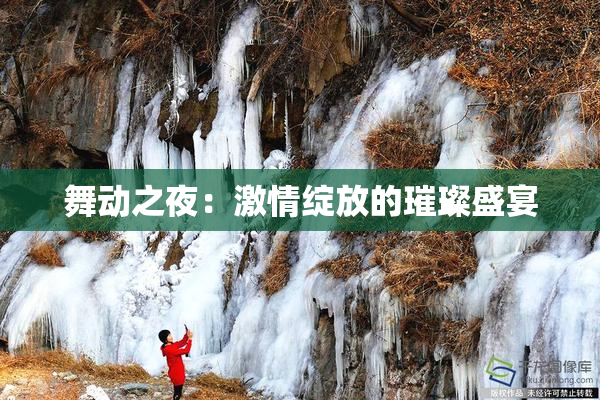 舞动之夜：激情绽放的璀璨盛宴
