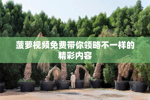 菠萝视频免费带你领略不一样的精彩内容