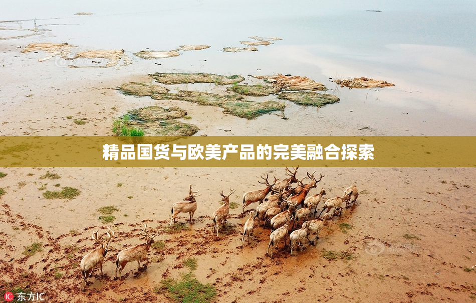 精品国货与欧美产品的完美融合探索