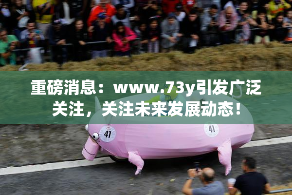 重磅消息：www.73y引发广泛关注，关注未来发展动态！